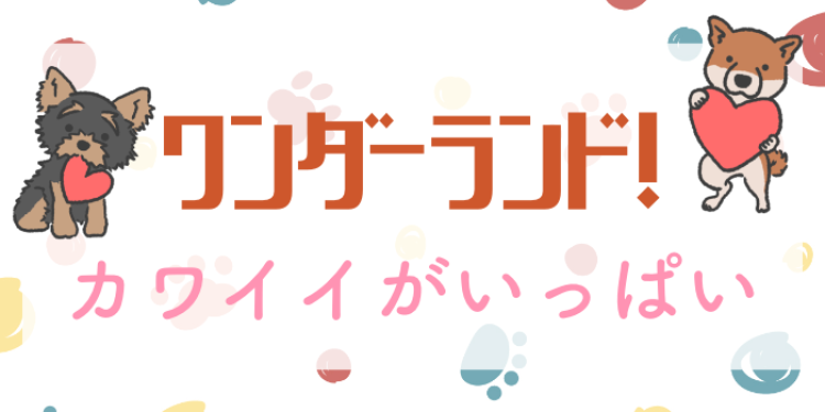 ワンダーランド！カワイイがいっぱい